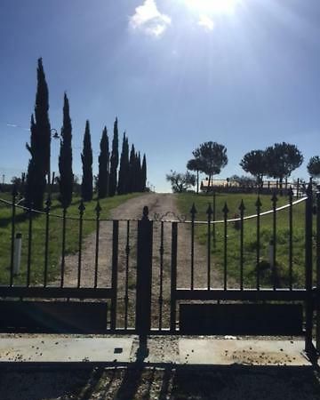 Agriturismo Casale San Benedetto Ceri Exteriér fotografie