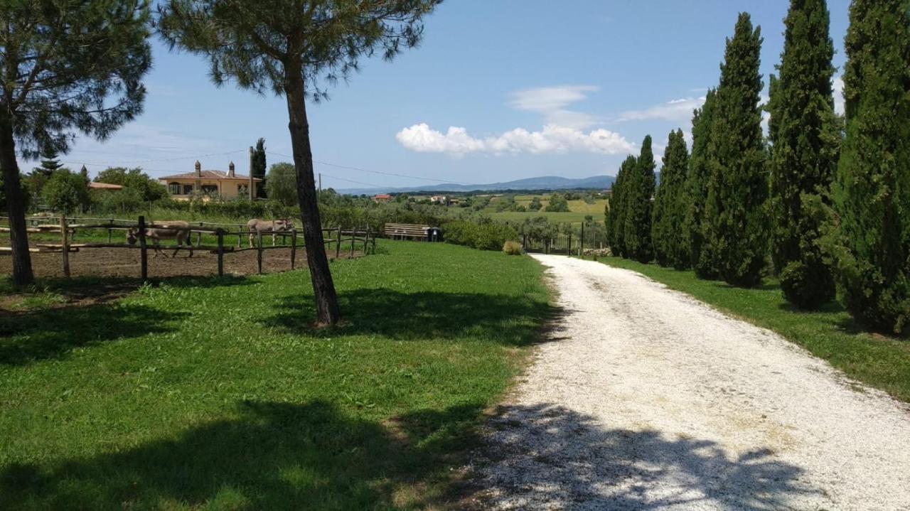 Agriturismo Casale San Benedetto Ceri Exteriér fotografie