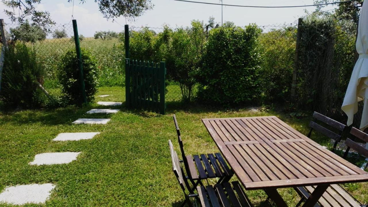Agriturismo Casale San Benedetto Ceri Exteriér fotografie