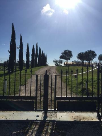Agriturismo Casale San Benedetto Ceri Exteriér fotografie